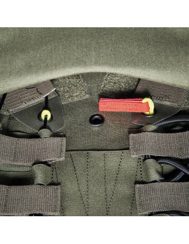Tasmanian Tiger Plate carrier MK IV (olive)