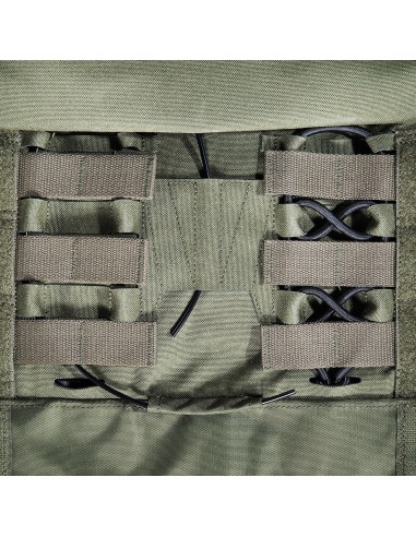 Tasmanian Tiger Plate carrier MK IV (olive)
