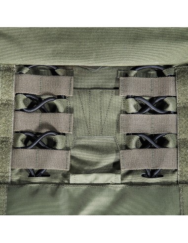 Tasmanian Tiger Plate carrier MK IV (olive)