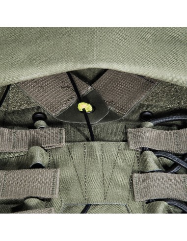Tasmanian Tiger Plate carrier MK IV (olive)