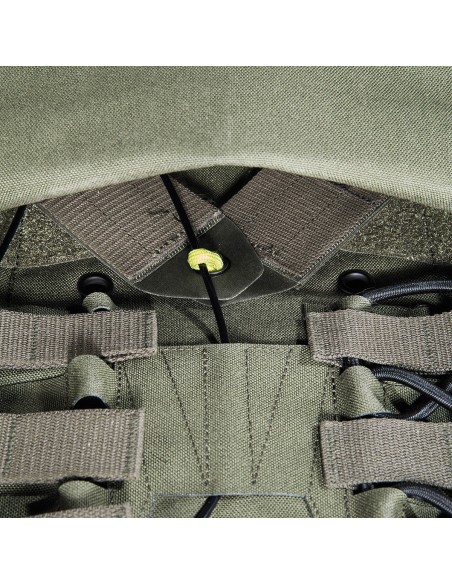 Tasmanian Tiger Plate carrier MK IV (olive)
