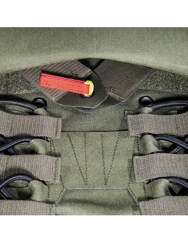 Tasmanian Tiger Plate carrier MK IV (olive)