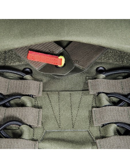 Tasmanian Tiger Plate carrier MK IV (olive)