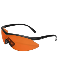 EDGE FastLink Ballistic Glasses 2