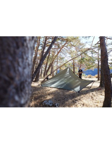 Grand Canyon Shelter Ray - Olive